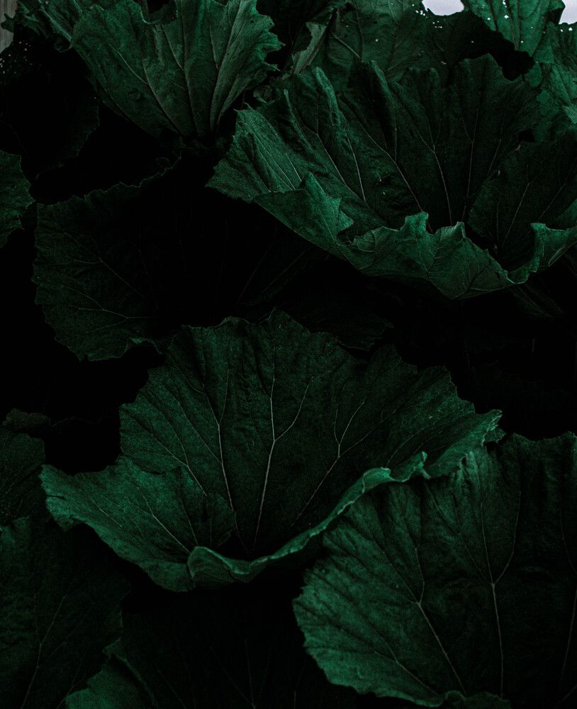 Photograph by Мария Киреева