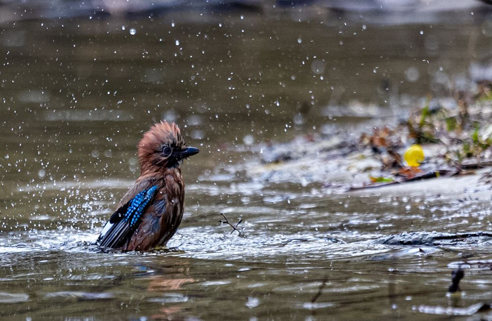 Photograph by Михаил Наволокин