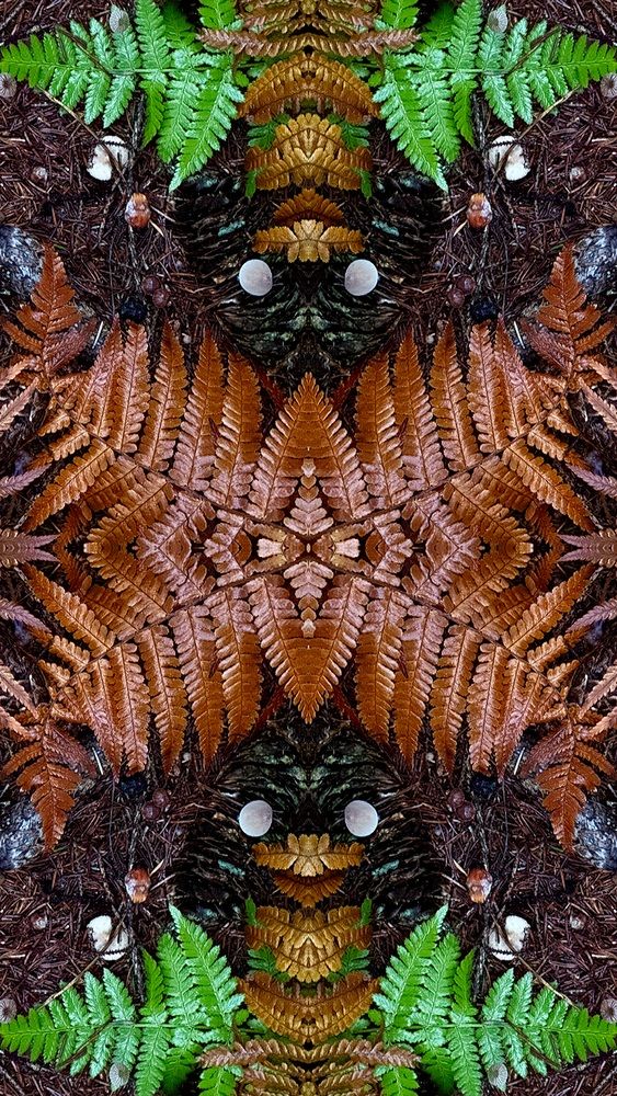 Photograph by Наталья Жигелис