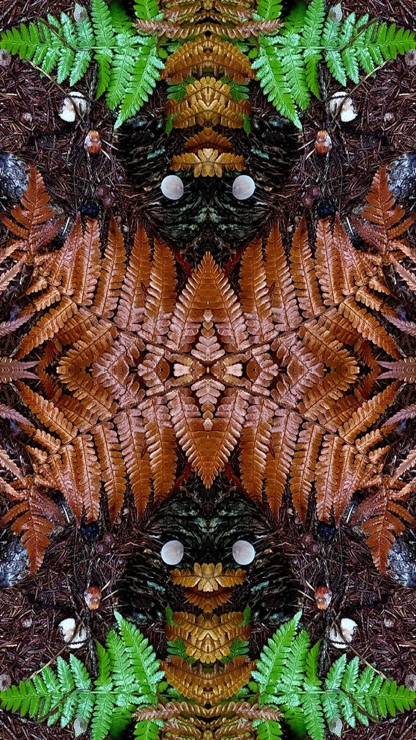 Фотография #13100348