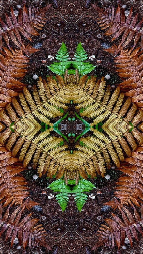 Photograph by Наталья Жигелис