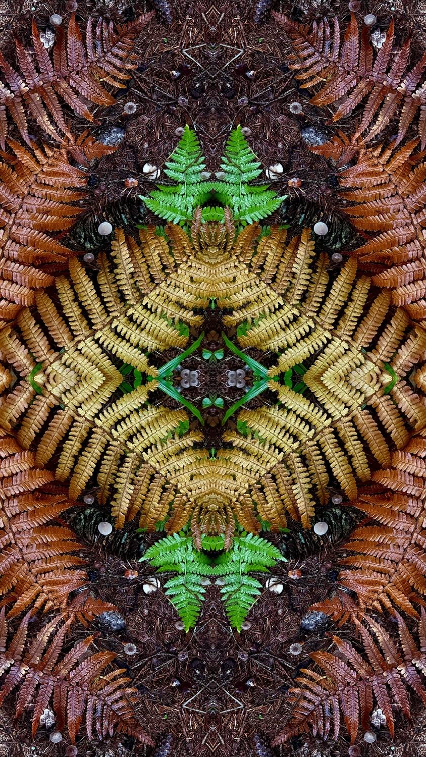 Фотография #13100349