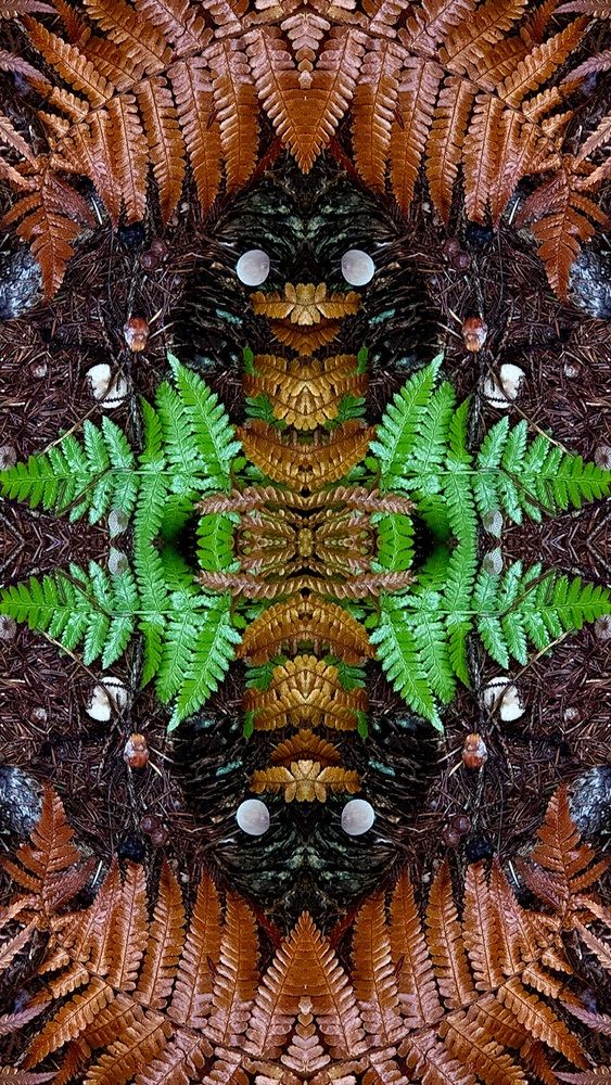 Photograph by Наталья Жигелис