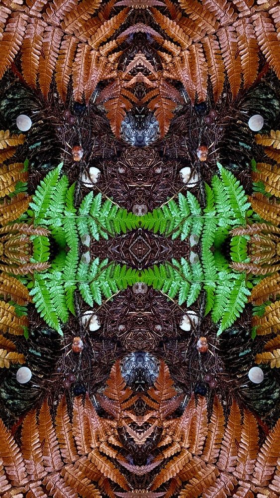 Photograph by Наталья Жигелис