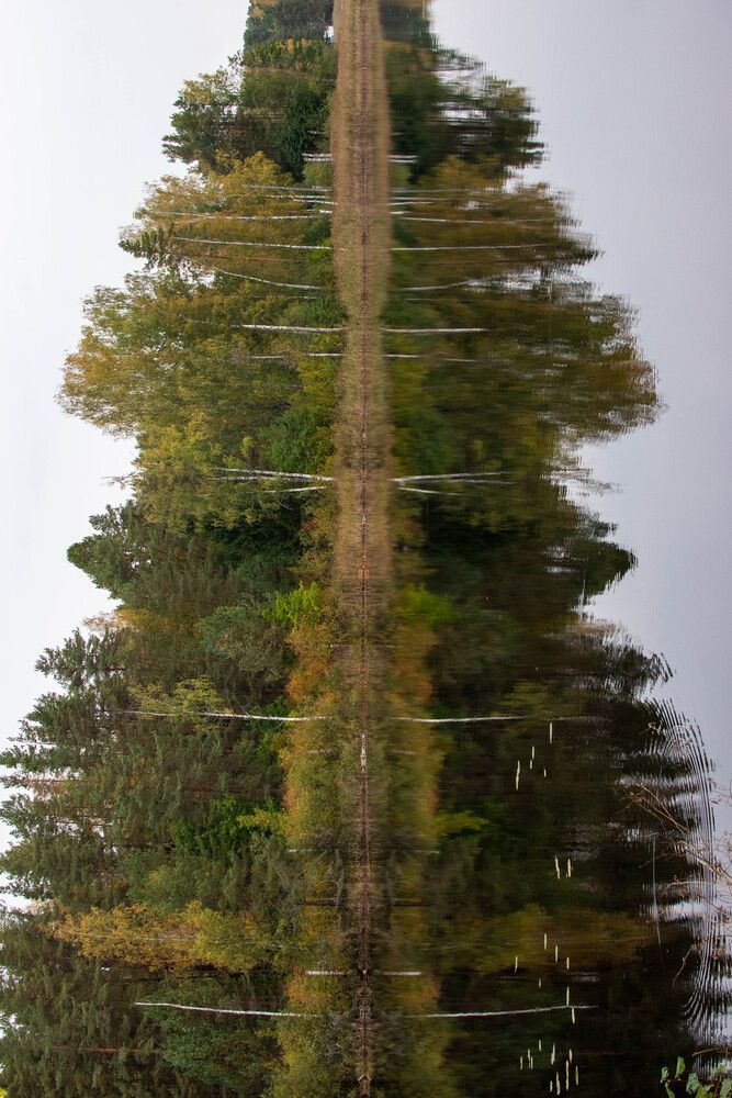 Photograph by Irina Kruk