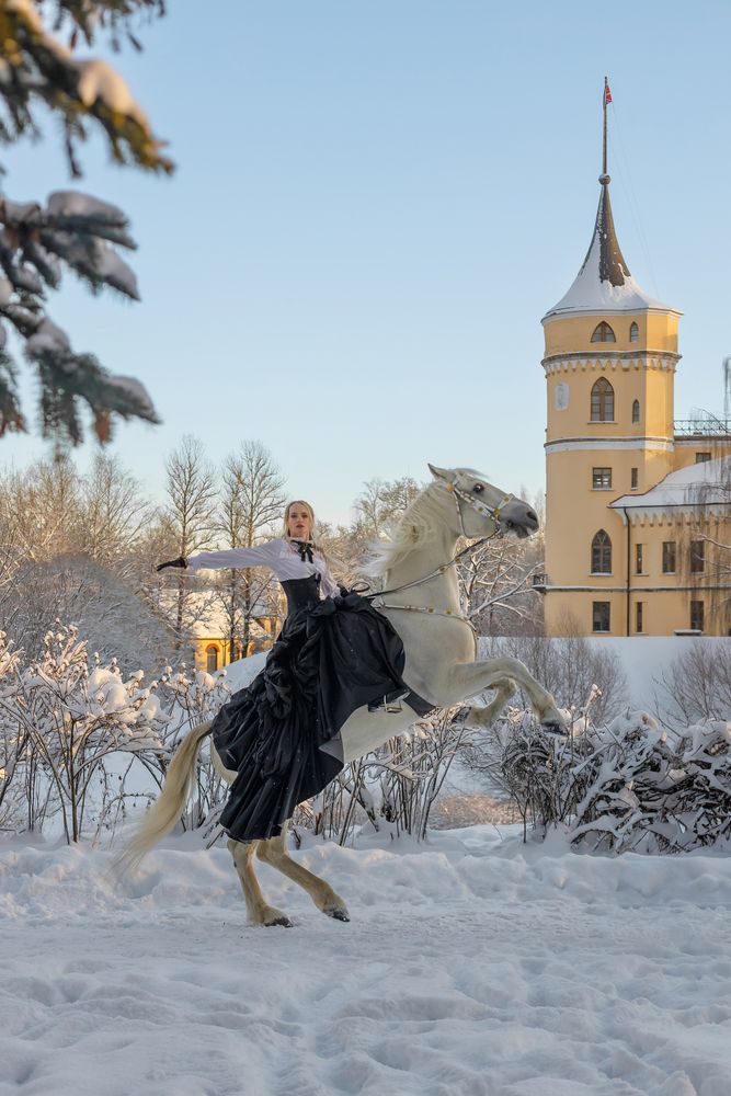 Фотография автора Евгений Чабанный