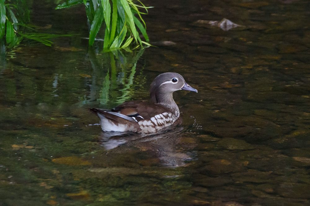 Photograph by Юрий Лавренюк
