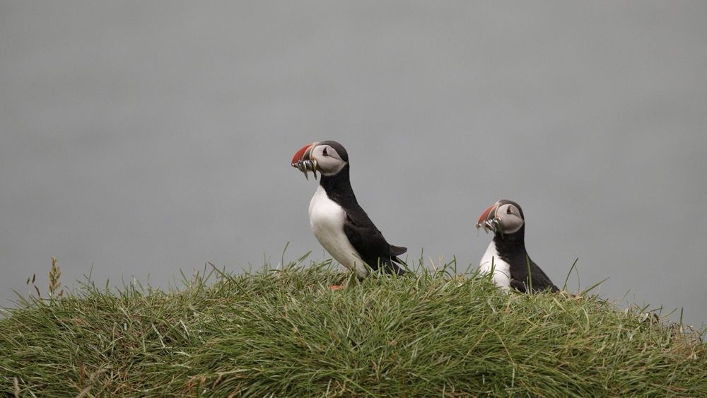 Photograph by Одаренко Ольга