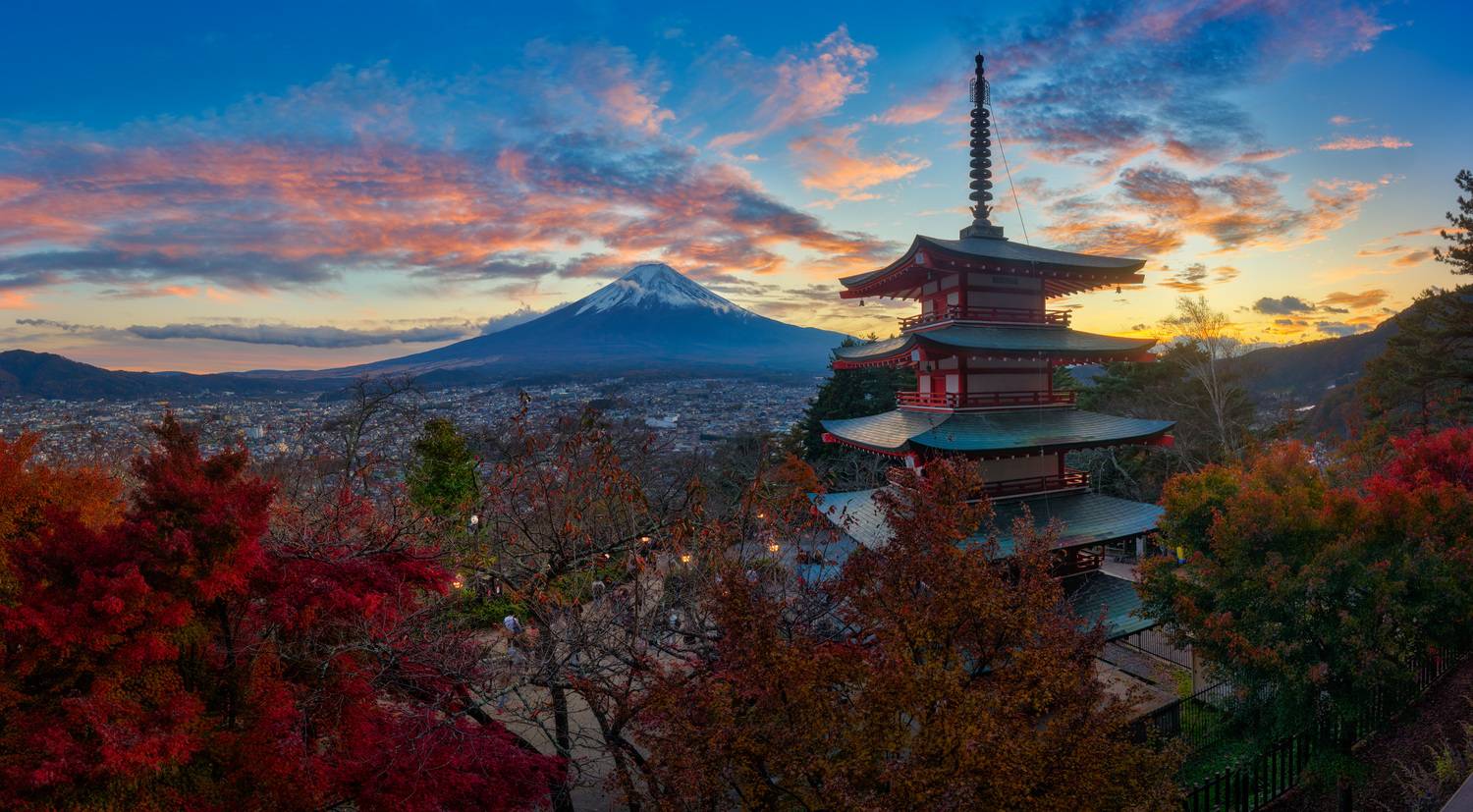 Фотография #13100488