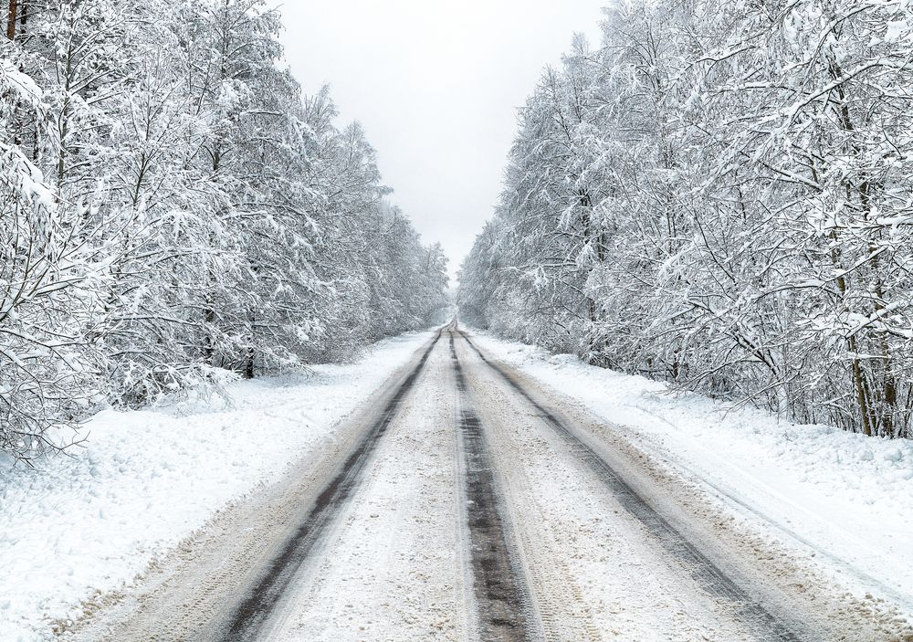 Photograph by Олег Соколов