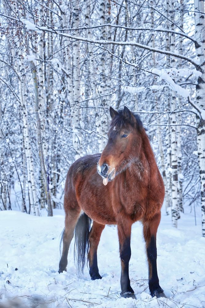 Фотография автора Евгения Казакова