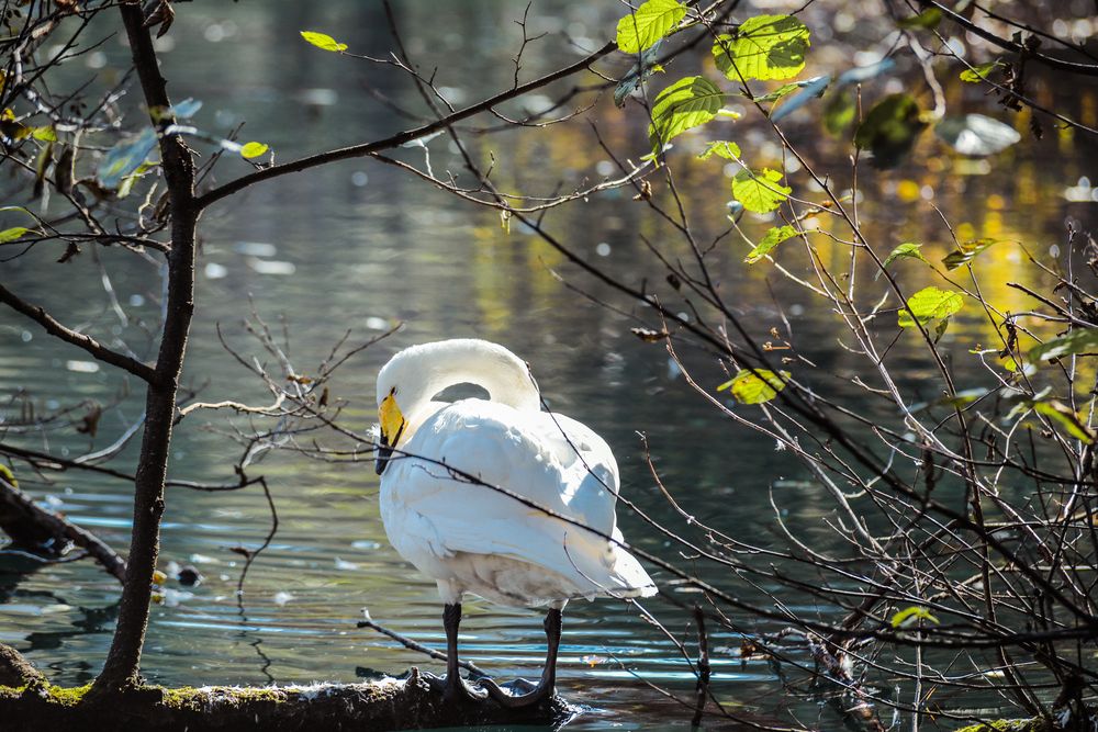 Photograph by Анастасия Лившиц