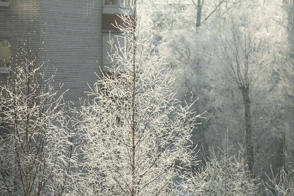 Фотография автора Анастасия Лившиц