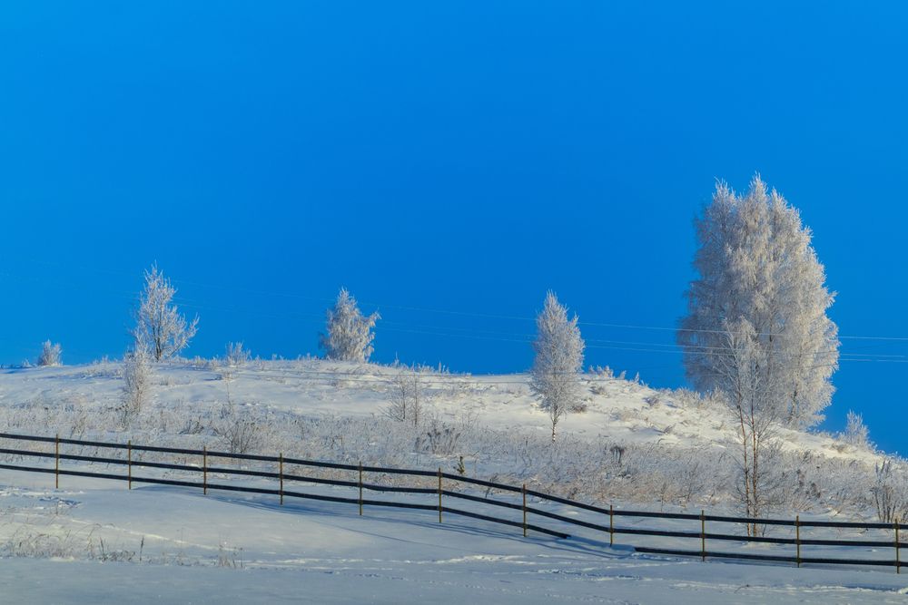 Фотография автора Aamoda Kitchen