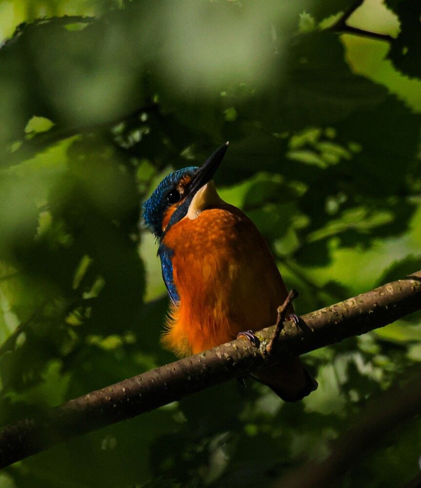 Photograph by Анна Чадова