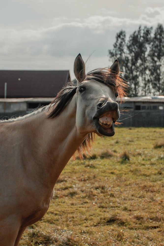 Фотография автора Анастасия Кобелева