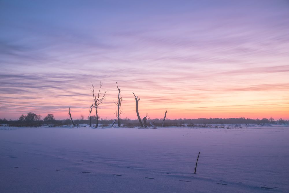 Photograph by Budyta Dariusz