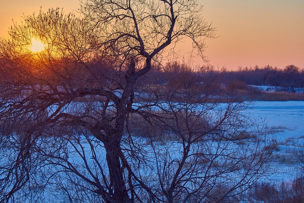 Фотография автора Наталия Мащенко
