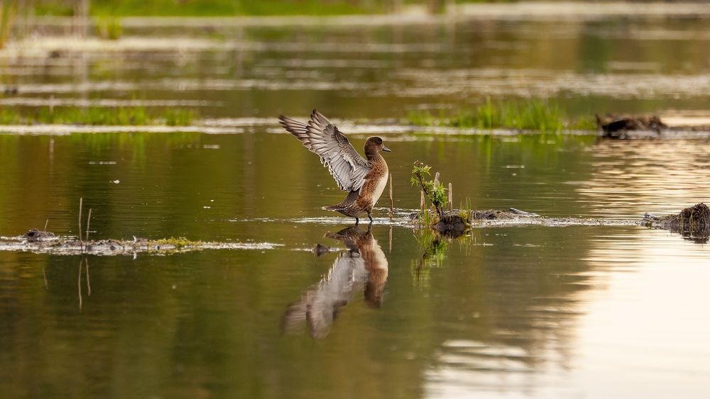 Photograph by Вадим Басов