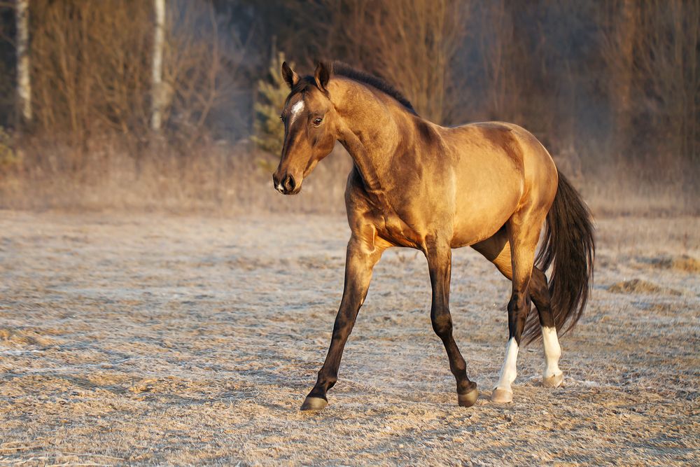 Photograph by Матюхина Наталья