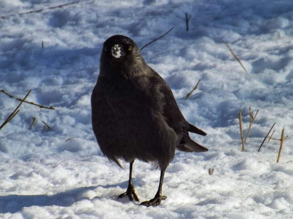 Photograph by Настя Настена