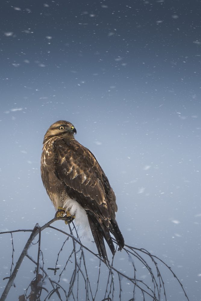 Фотография автора Купчиков Илья