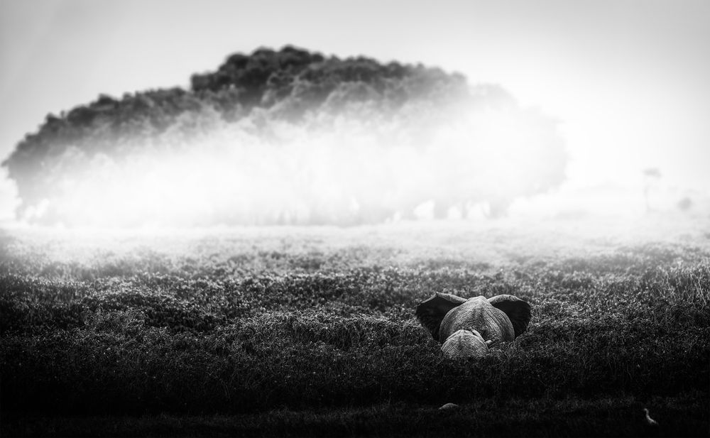 Photograph by lewis980