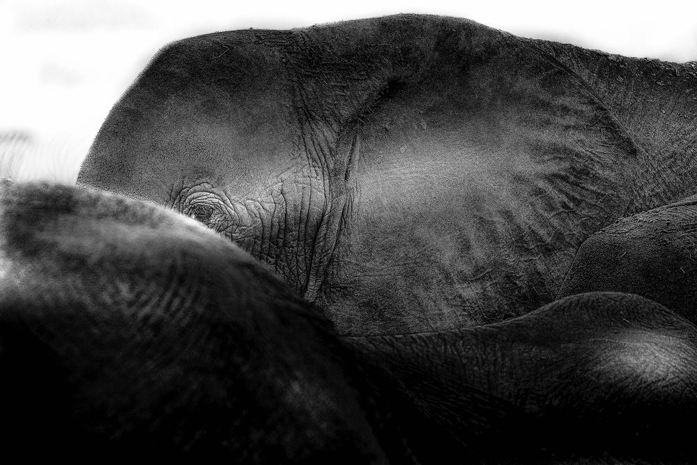 Photograph by lewis980