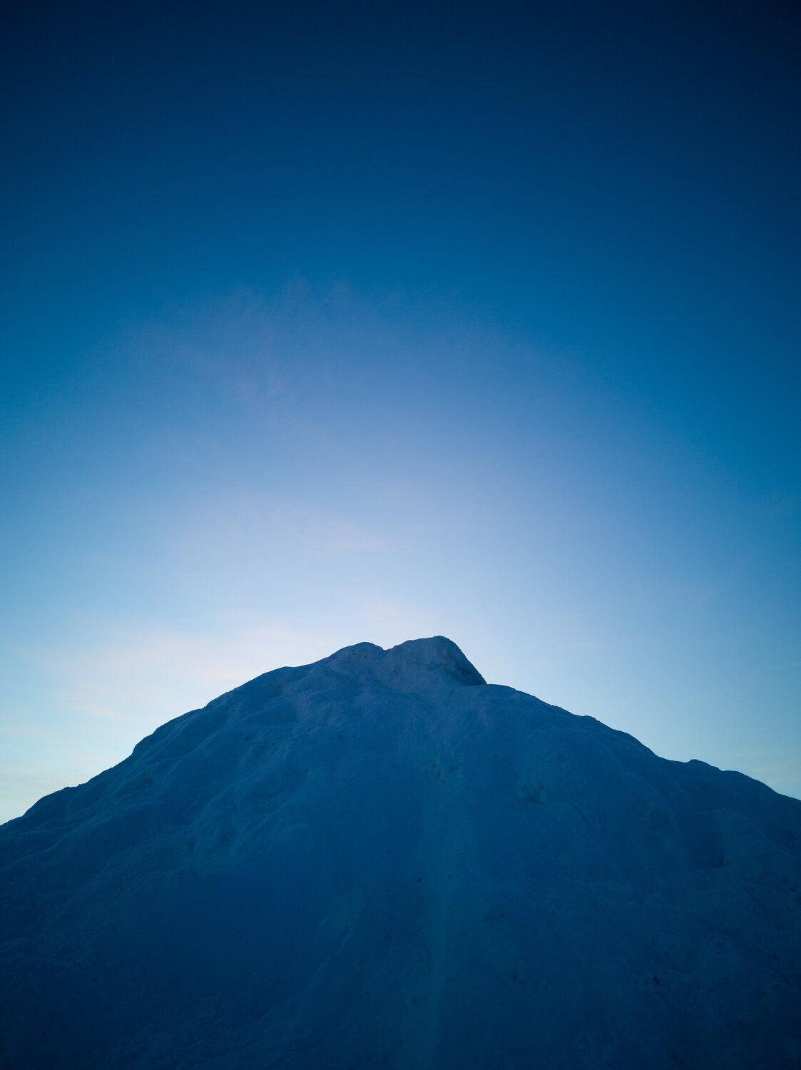 Photo #13100985
