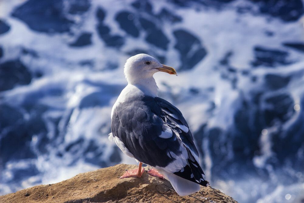 Photograph by Александр Волков