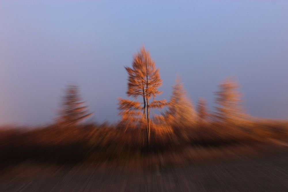 Photograph by Александр Велигура