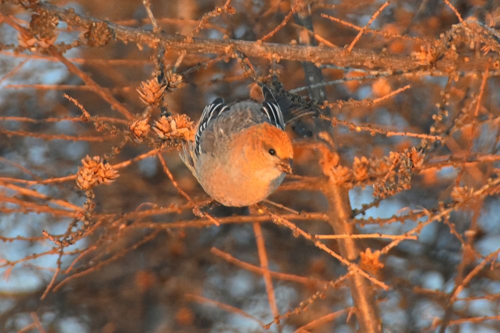 Photograph by Евгений Захаров