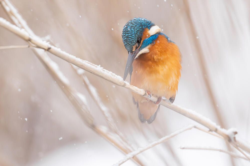 Photograph by Белов Александр
