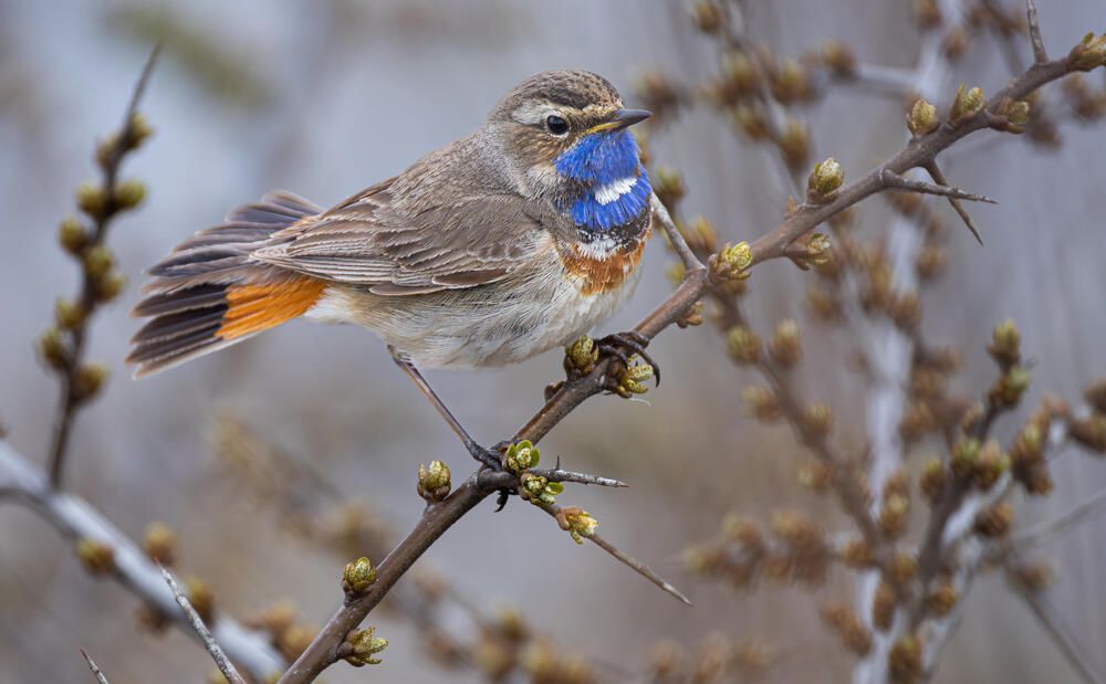 Photograph by Белов Александр
