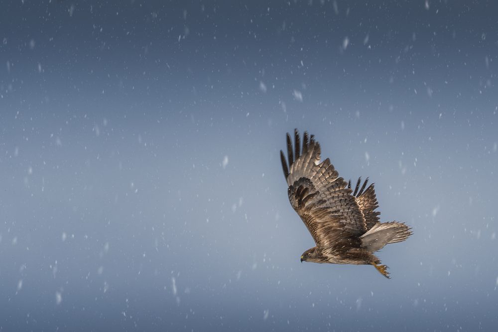 Фотография автора Купчиков Илья