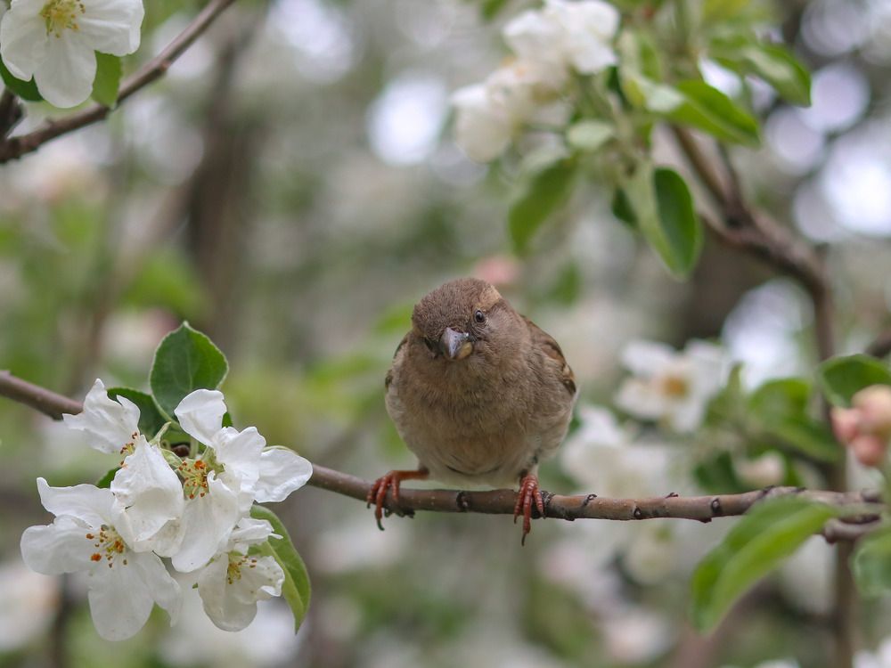 Photograph by Ирина Корабельникова