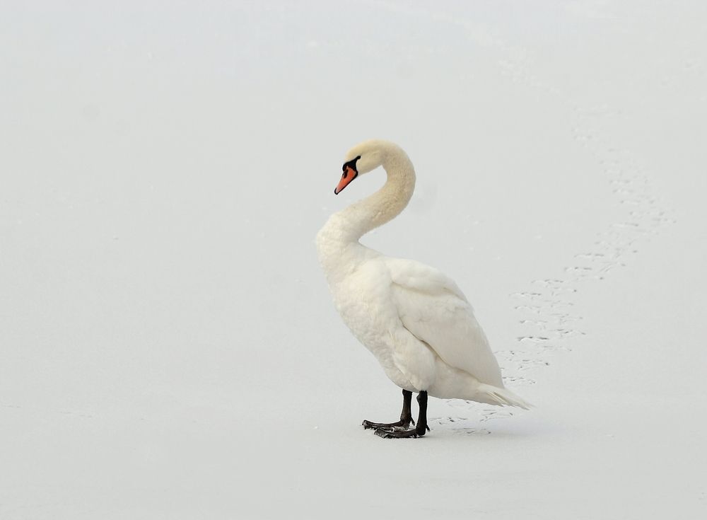 Photograph by Barbara