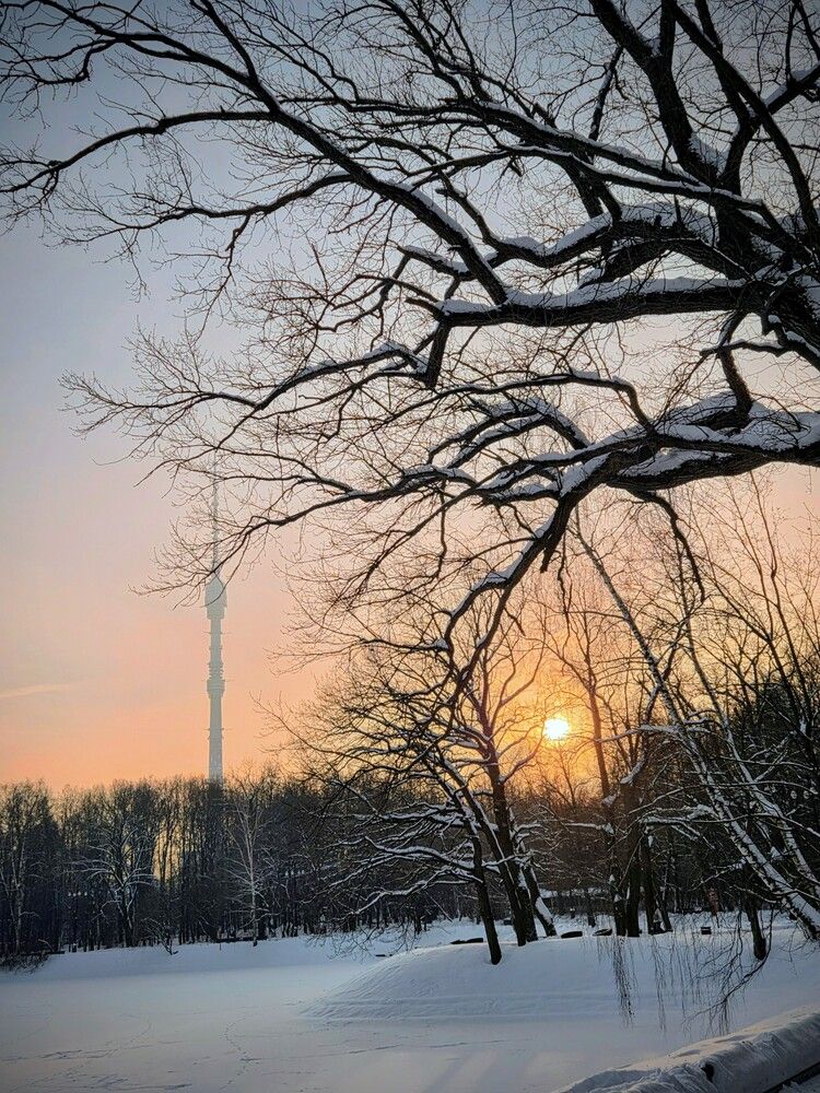 Photograph by Дарья Булавина