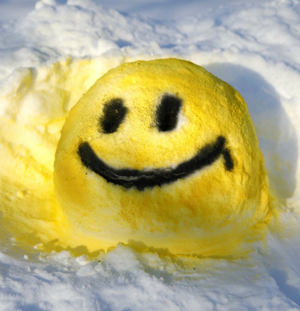 Фотография автора Лариса Ким