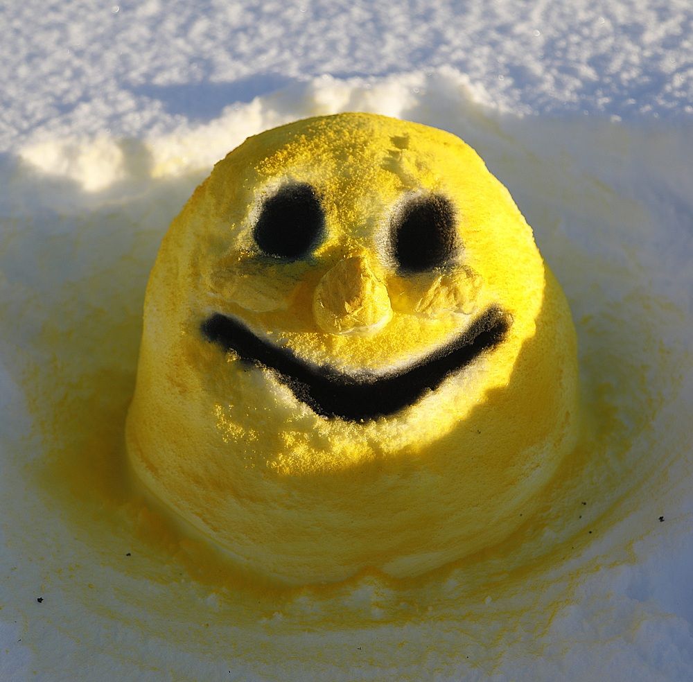 Фотография автора Лариса Ким