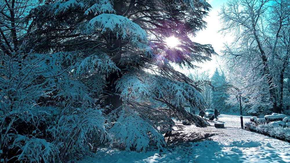 Photograph by Фартушняк Сергей