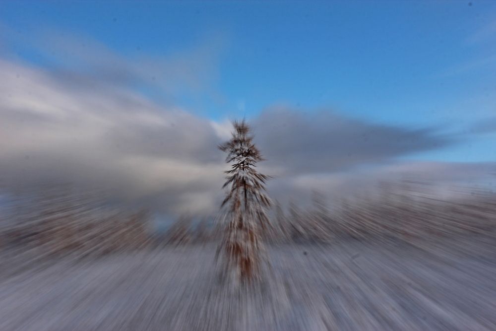 Photograph by Александр Велигура