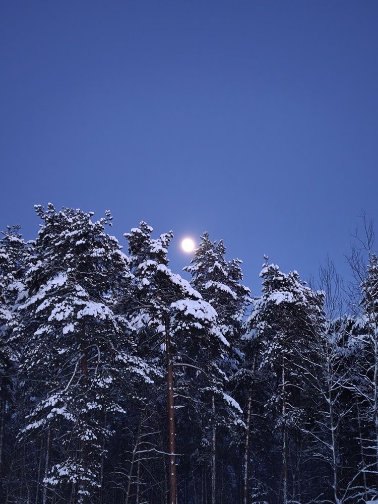 Photograph by Зимфира Хазиева