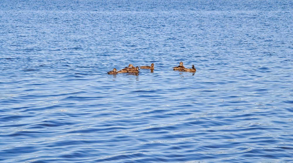 Photograph by БОРИС АНТОНОВ