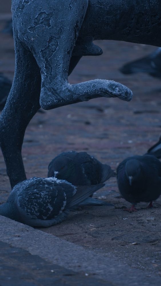 Photograph by Александр Климов