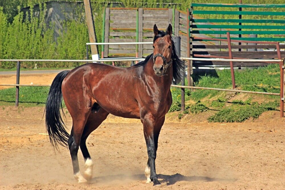 Photograph by Сергей Зятиков