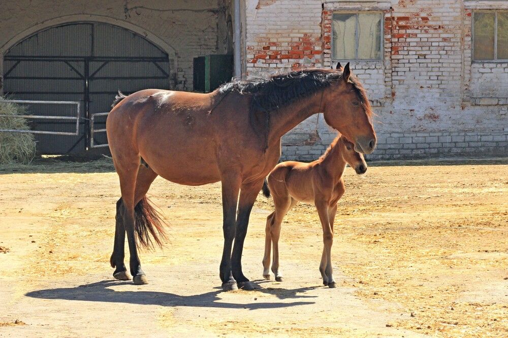 Photograph by Сергей Зятиков