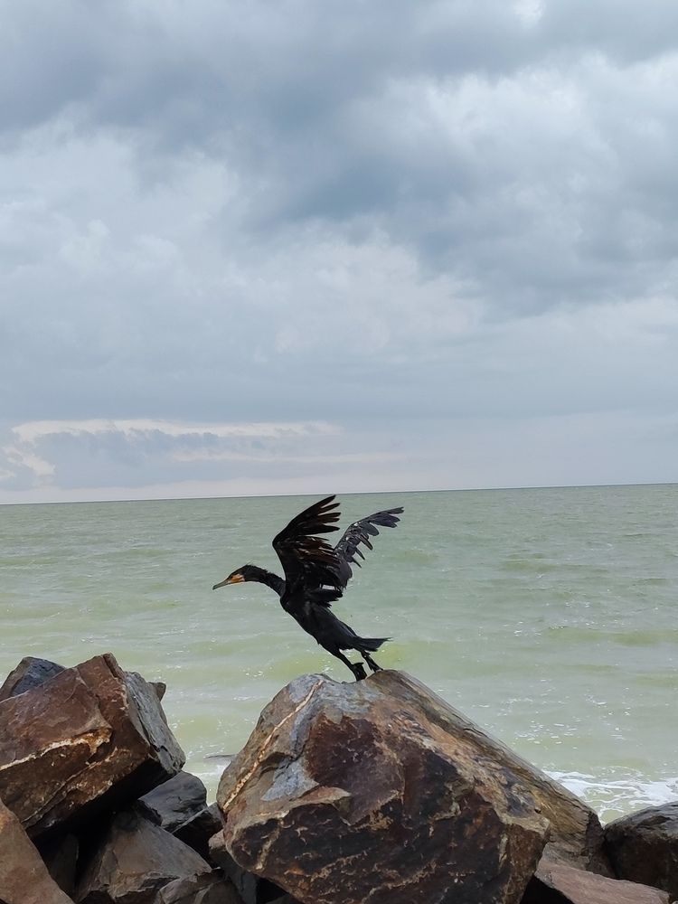 Photograph by Алёна Подгорная