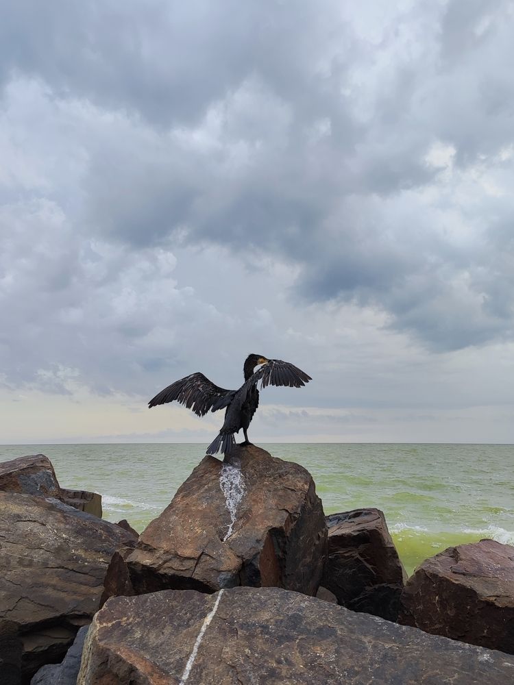 Photograph by Алёна Подгорная