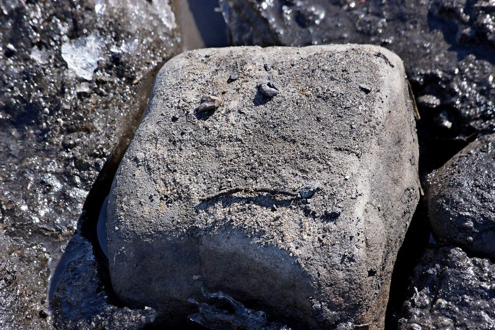 Photograph by Александр Велигура